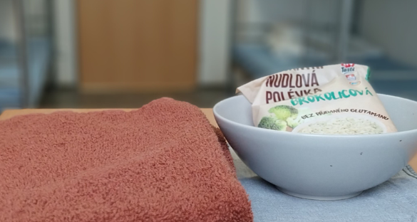 Noclehárna pro muže a ženy Krnov