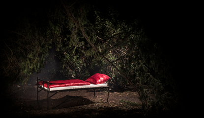 Mrazivé počasí zvyšuje poptávku po noclehárnách. Kampaň Nocleženka pomáhá lidem bez domova přežít zimu