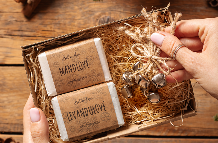 článek (694 x 456 px) (11)